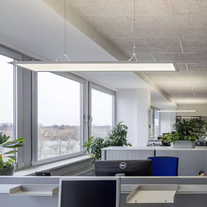 Darc — Un espace de travail moderne et lumineux avec des bureaux ergonomiques équipés d'ordinateurs, des plantes vertes disposées sur les plans de tra