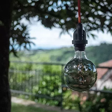 Darc — Une ampoule en verre transparent suspendue par un fil rouge, accrochée à une branche d'arbre, avec un fond flou de paysage verdoyant