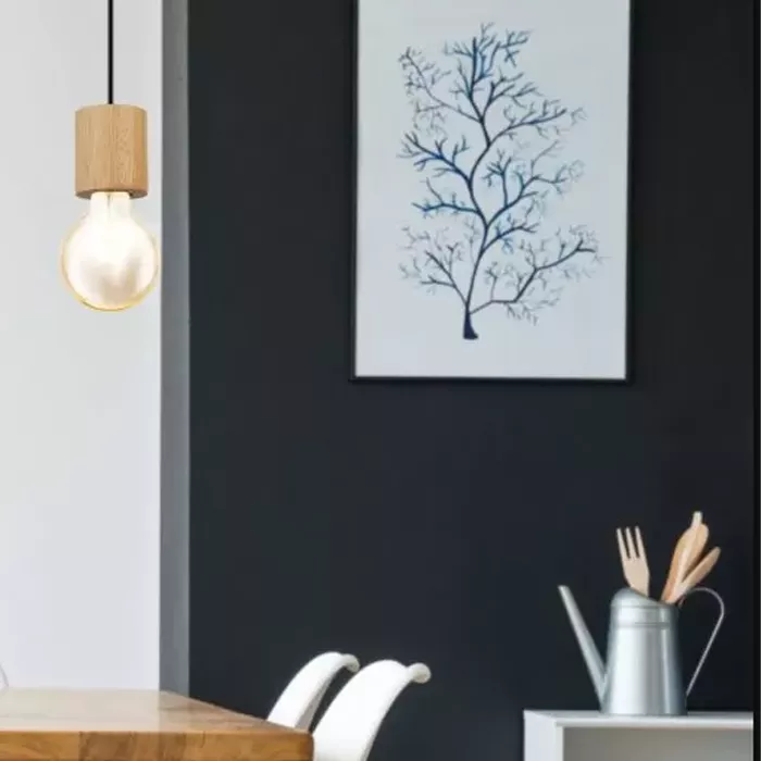 Darc — Un arbre aux branches fines et élégantes est accroché sur un mur gris foncé, accompagné d'une lampe suspendue en bois clair avec une ampoule en