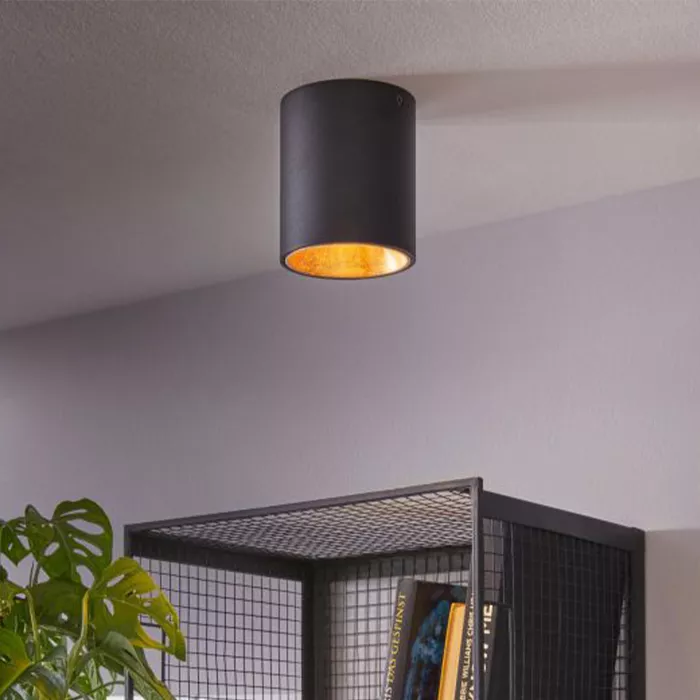Darc — Applique murale cylindrique noire fixée au plafond, diffusant une lumière dorée douce, au-dessus d'une étagère noire remplie de livres et d'une