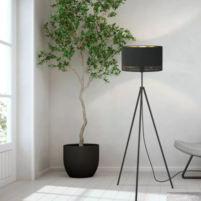 Darc — Un arbre en pot noir avec un tronc torsadé et des feuilles vertes est placé près d’une lampe design noire sur pied tripode, éclairant un espace