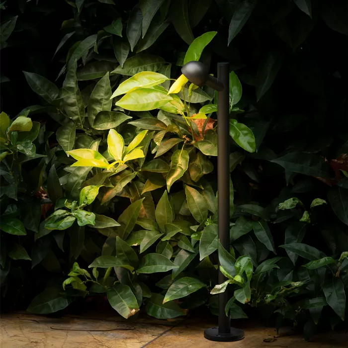 Darc — Un projecteur LED noir orienté vers un mur recouvert de feuilles vertes et jaunes, éclairant une partie de la végétation avec une lumière douce